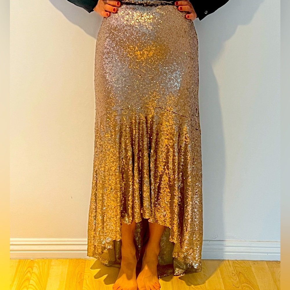 GLAMOROUS Sequined Maxi skirt by BHDLN